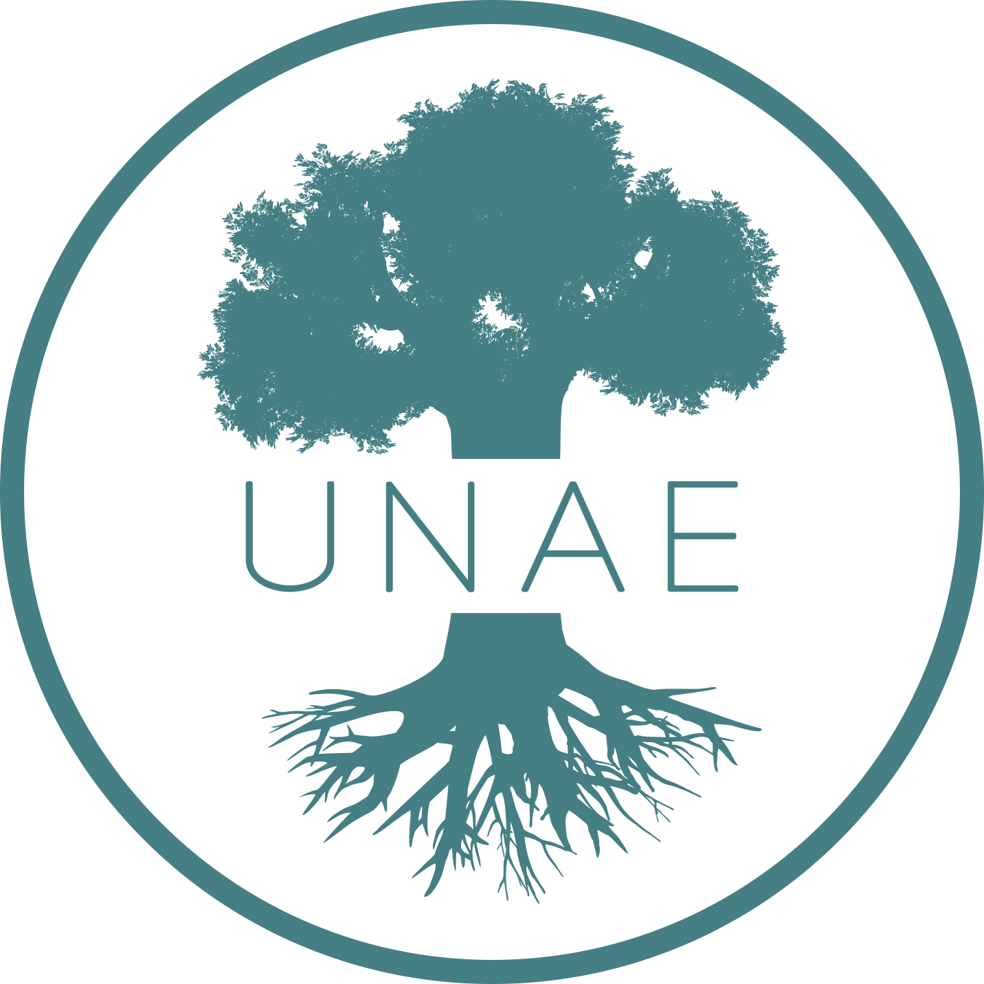Logo Unae